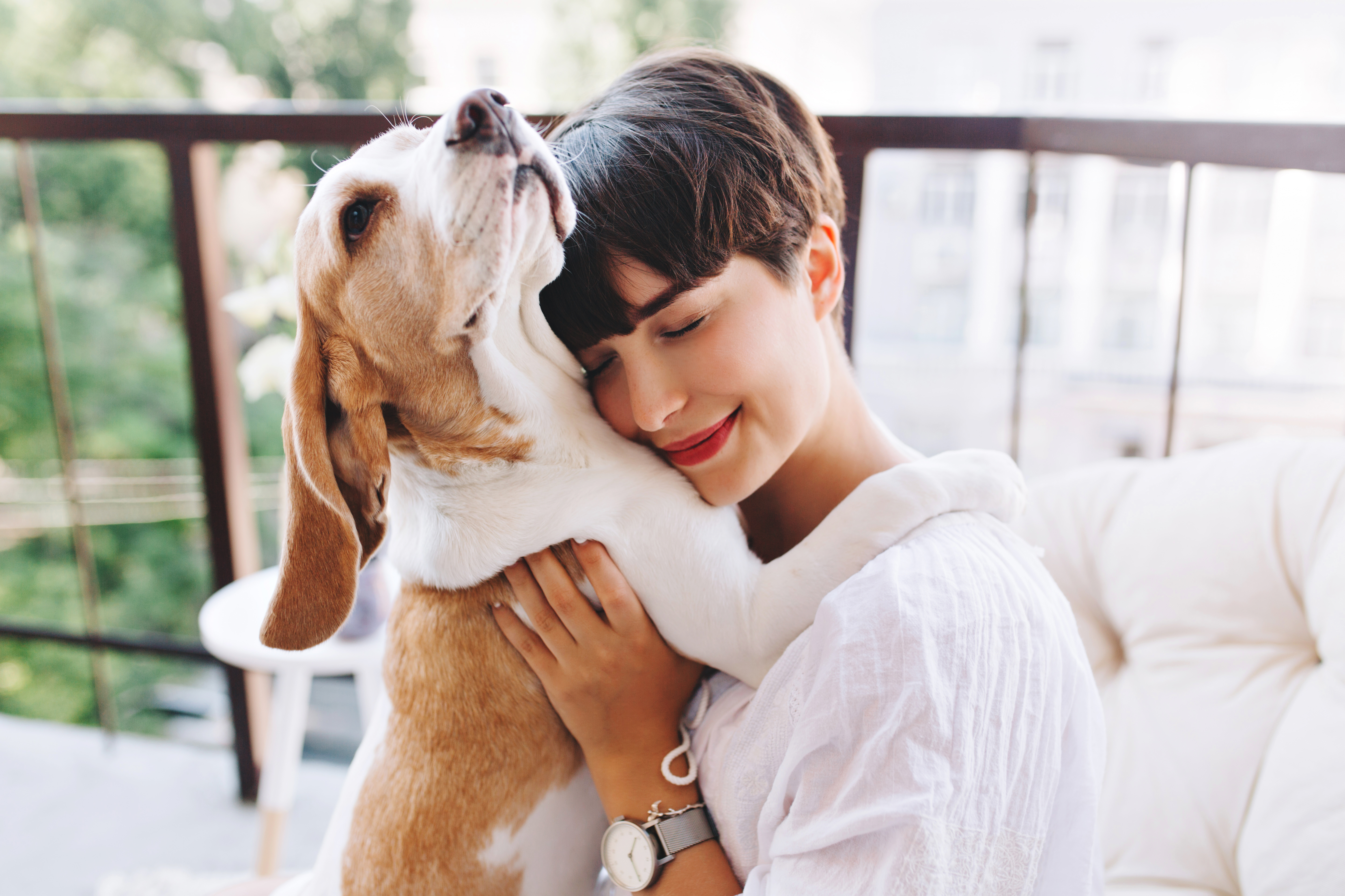 Friend dog. Обнимает собаку. Хозяин собаки. Объятия с собакой. Человек обнимает собаку.