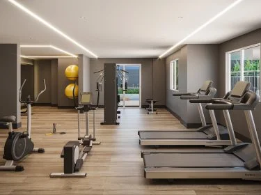 espaço fitness stylo