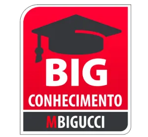 Programa BIG Conhecimento