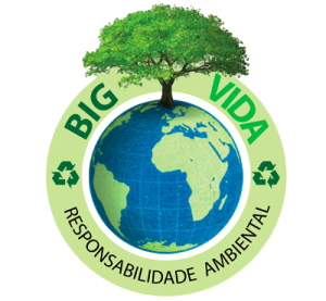 Programa BIG Vida