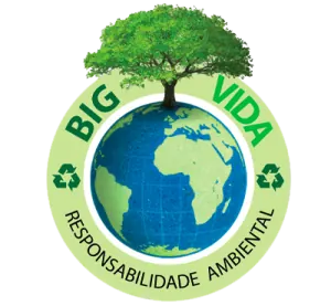 Programa BIG Vida