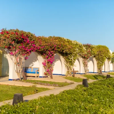 Exclusividade no litoral: descubra o privilégio de ter um imóvel no Jardim Acapulco